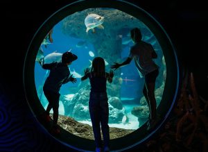 The Florida Aquarium